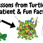 Lessons from Turtles Patient & Fun Facts